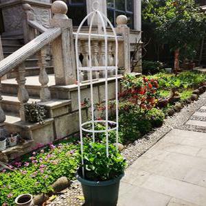 슬림 아치 넝쿨 정원데코 펜스 인테리어 식물 정원용