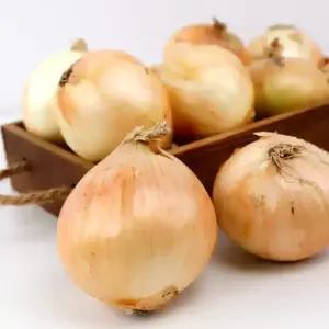 [원픽파머스] 국내산 창녕 고령 단단한 햇양파 중 10kg