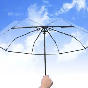 3단 투명 우산 장마 비닐 접이식 자동우산 단우산/장우산/미니/초경량/어린이/경량/고급/양우산/물받이