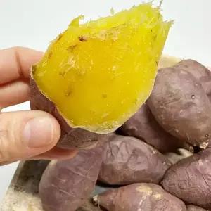 가정용 찜고구마 군고구마용 해남 세척고구마 중상사이즈 3kg