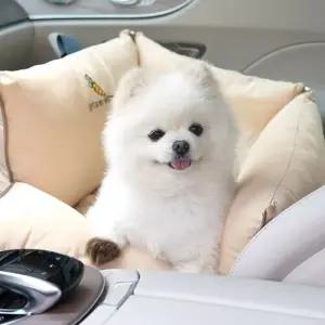 패리스독 NEW쁘띠 꿀잠카시트(베이지)