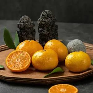 제주택배 새콤달콤 맛있는 타이벡 조생 감귤 4.5kg 9kg