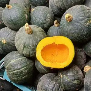 홍천 유기농 단호박 5kg 4-5과 유기농 밤호박 보우짱 단호박 생단호박 햇밤호박 못난이단호박 못난이밤호박