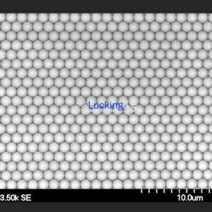 단방향 분산 폴리스티렌 미세스피어 20nm ~ 1000um Am PS 마이크로 벌룬 5ml 2.5%