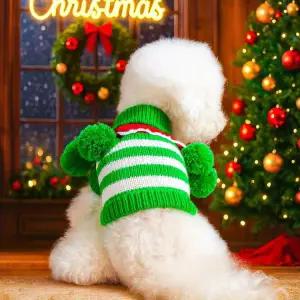 화려한 줄무늬 반려동물 흰색 작 스 고양이 강아지 실 녹색과 가을 니트 웨터 옷 코트 겨울