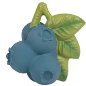 올리앤캐롤 유아 치발기 이앓이 장난감 제리블루베리 BNS