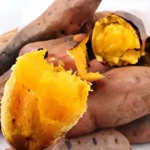 안면도 황토 꿀 호박고구마 10kg 왕 400g 이상