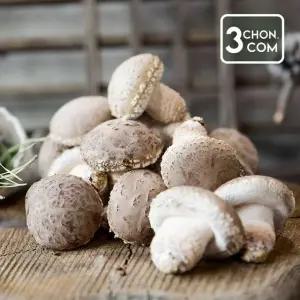 [삼촌밥먹자] 충북 무농약 송화고버섯 1kg 하품