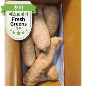 국산 생천마 전남 무주 천마 1kg 특품