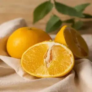 제주 고당도 꿀 황금향 가정용 3kg,5kg 타이백 밀감 조생 귤택배