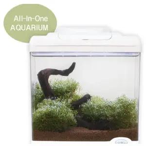 리코L25/어항세트/투명플라스틱 어항/LED등포함/저면 (WFG2GFK)