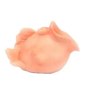 물고기 산란상 CRS 산란상 새우 치어 은슁 HD1035 장 (WFG2GEO)