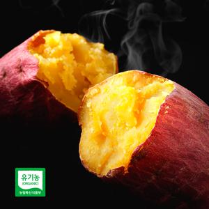 달수고구마 3kg, 5kg 유기농 햇 꿀 밤고구마 베니하루카