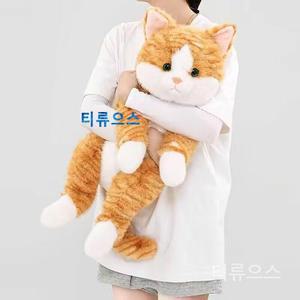 치즈냥이 바디필로우 베개고양이 애착인형 쿠션 스트라이프캣 대형 커버 티류으스