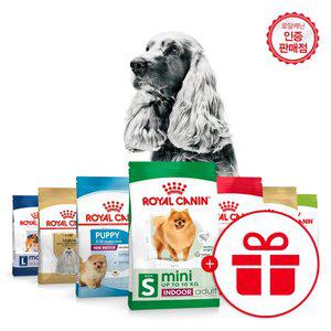 로얄캐닌 강아지사료 베스트 모음전 3kg 10kg 애견사료 영양맞춤 견종맞춤 푸들 말티