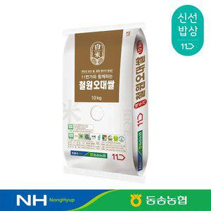 [동송농협] 25년산 철원오대쌀 상등급 10kg 최근도정
