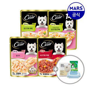 시저 파우치 70gx16개 골라담기+아이엠즈+배변패드+물티슈