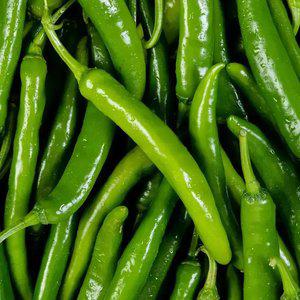 [최종6,380원] 수분가득 아삭이 국내산 오이고추 1kg 상