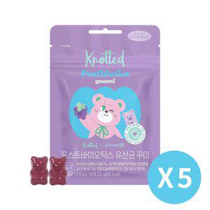 [내일도착] 노티드 포스트바이오틱스 유산균 꾸미 파우치 10개입 5개 (총 50꾸미)