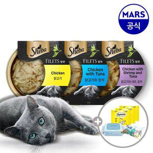 쉬바 필렛 16개 골라담기+캣닢쿠션+베베숲물티슈+템테이션12gx3개