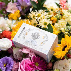 바니에르 고농축 비건 더마 건조기시트 드라이시트 스노우벨 향기 30매