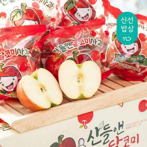 [세척사과 국내리뷰수1위!] 당도선별 고당도! 프리미엄 산들앤 달코미 세척 꼬마 사과