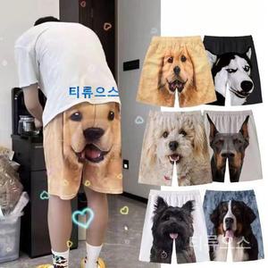 티류으스 강아지얼굴 반바지 골든리트리버 프린팅 팬츠 그림 웃긴 선물