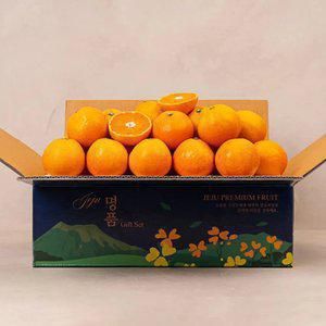 달콤한 제주 서귀포 고당도 노지 감귤 4.5kg 2S 소과