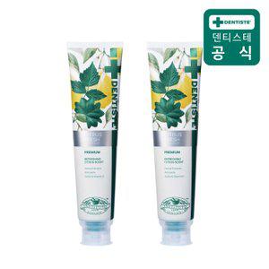 덴티스테 시트러스 후레쉬 치약 200g 2개