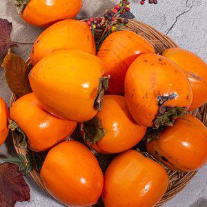 고당도 말랑달콤 후숙 대봉감 가정용 5kg (25과내외)홍시용 곶감