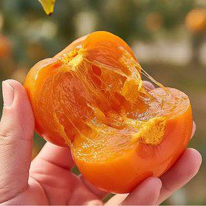 청도 반시 실속형 고당도 씨없는 홍시 2.5kg 27~29과