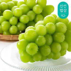 달콤함이 입안가득, 껍질째 먹는 샤인머스켓 4kg (5-7수)