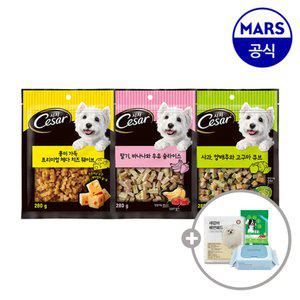 시저 프리미엄 간식 280gx2개 골라담기+아이엠즈+배변패드+물티슈