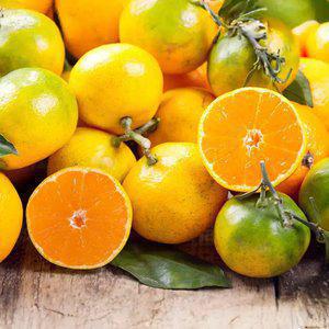 [10brix이상 고당도] 제주 노지감귤 10kg L-2L과(혼합) / 실중량 9kg