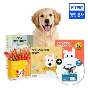 핏펫 잇츄 덴탈껌 간식 대용량 모음전 강아지 양치껌 알러지 방지(+배변패드1매)