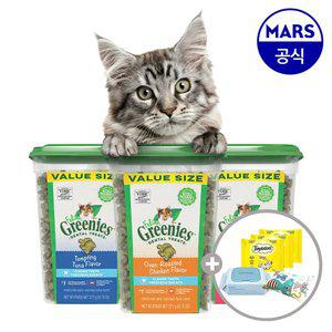 필라인 그리니즈 대용량팩 595g (맛택1)+캣닢쿠션+베베숲물티슈+템테이션12gx3개
