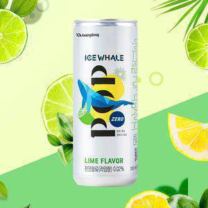 [본사직영] 아이스웨일팝 라임 250ml 48캔