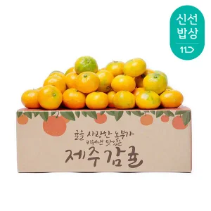 [품질보장]첫수확 조생 제주 감귤 4.5kg 소과