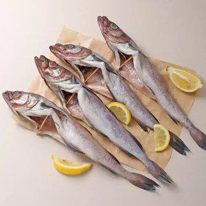 [내일도착] 명태코다리(4미/중/코)x1팩