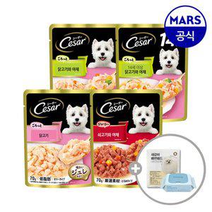 시저 파우치 70gx16개 골라담기+배변패드+베베숲물티슈1팩