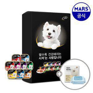 [11번가 단독팩] 시저 주식캔 26개 골라담기+배변패드+베베숲물티슈1팩