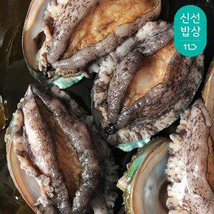 [바다마을] 완도 참 전복 왕특대활전복 8~9미 1kg (산소포장)