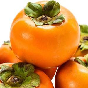 달달한 진영 부유 단감 10키로 첫 출하 50박스 한정