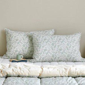 [모던하우스] 퓨어코튼 60수 고밀도면 베개커버 50x70 페탈가든