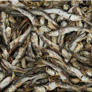 [품질보장] 이순신수산 남해통영 멸치 다시멸치 1.5kg [하] (다시,육수용)