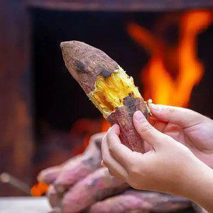 해남 햇 꿀/호박 고구마 특상 외 2~5kg