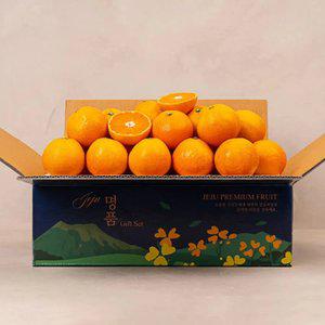 달콤한 제주 서귀포 고당도 노지 감귤 4.5kg L-2L 중대과