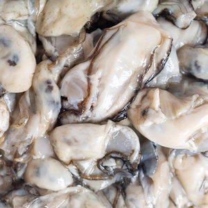 [산지플러스] 통영 깐생굴 1kg  (100미내외)