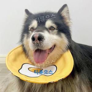 목도리 반려견 애견 침받이 스카프 턱받이 중대형견 침방울 티류으스