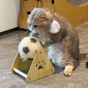 고양이 공굴리기 장난감 집들이선물 원목재질